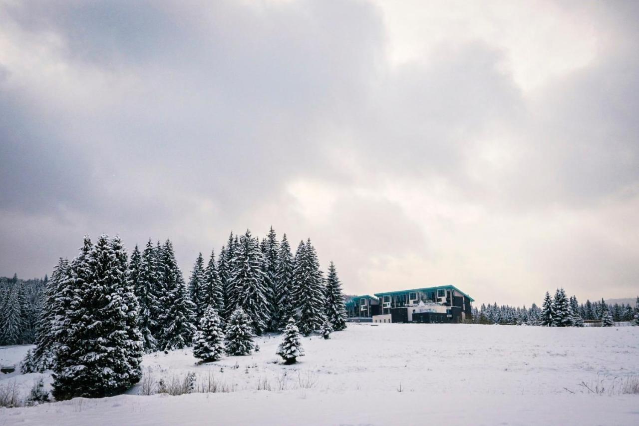 Luxapartment Poiana Brasov Eksteriør billede